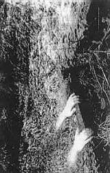 Vomitory (SWE) : Vomitory